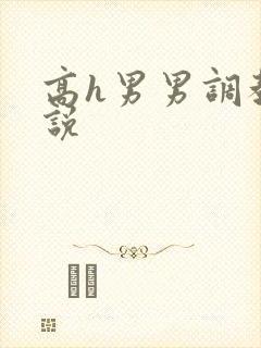 高h男男调教小说