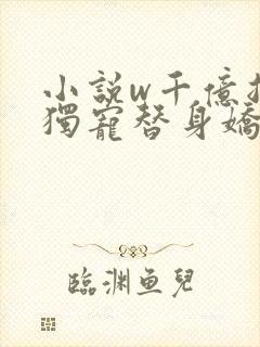 小说w千亿总裁独宠替身娇妻》