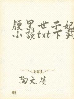 腹黑世子妃日常小说txt下载