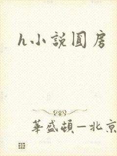 h小说圆房