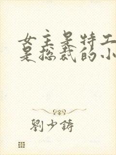 女主是特工男主是总裁的小说