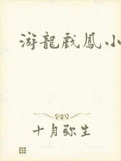 游龙戏凤小说封面