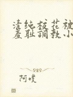 清纯校花被民工羞耻调教小说封面