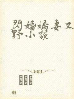 闪婚娇妻又甜又野小说封面