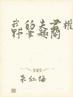 我的夫君权倾朝野笔趣阁