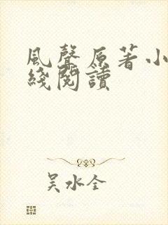 风声原著小说在线阅读