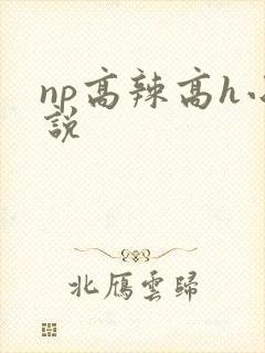 np高辣高h小说封面