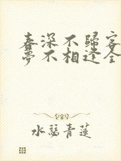 春深不归客,清梦不相逢全文免费封面