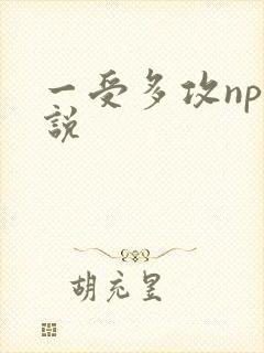 一受多攻np小说