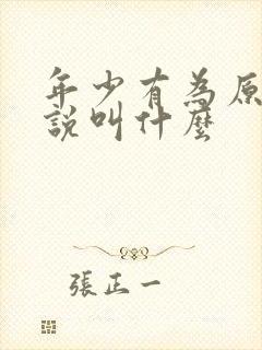 年少有为原著小说叫什么