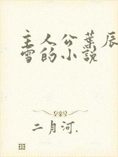 主人公叶辰夏若雪的小说