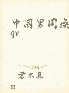 中国男同操亚洲gv封面