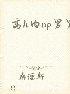 高h肉np男男
