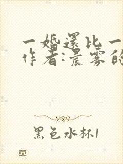 一婚还比一婚高作者:晨雾的光