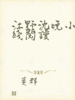 江野沈晚小说在线阅读封面