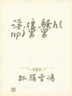 淫,浪,骚h(np)男男