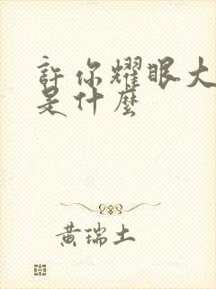 许你耀眼大结局是什么