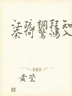 江疏桐段知许《奈何惊鸿入我心》