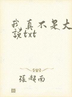 我真不是大佬小说txt