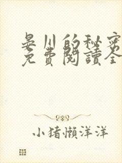 晏川的秘密小说免费阅读全文封面