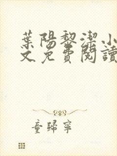 叶阳黎洁小说全文免费阅读