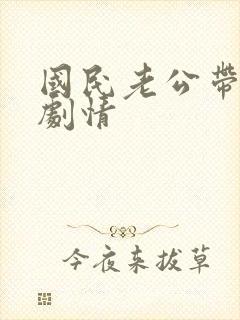国民老公带回家剧情