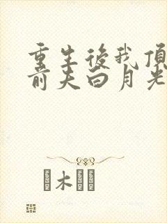 重生后我顶替了前夫白月光 第118章封面