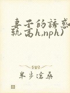 妻子的诱惑(出轨高h,nph)