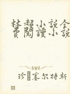 林超小说全文免费阅读小说