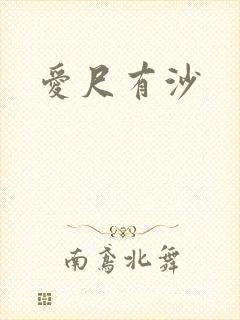 爱尺有沙封面