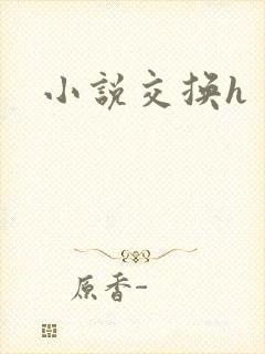 小说交换h