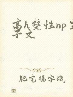 高h双性np生子文