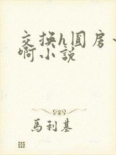 交换h圆房～嗯啊小说封面