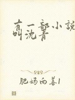 有一部小说主角叫沈青