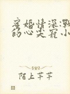 蜜婚情深:战少的心尖宠小说