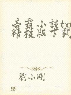 帝霸小说txt精校版下载