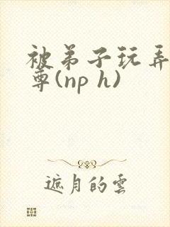 被弟子玩弄的师尊(np h)