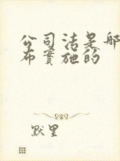 公司法是哪年颁布实施的