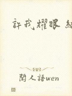 许我耀眼 结局