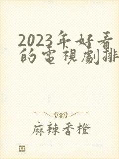 2023年好看的电视剧排行榜前十名