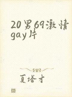 20男69激情gay片封面