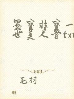 墨宝非宝一生一世美人骨txt