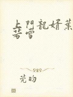 上门龙婿叶凡唐若雪