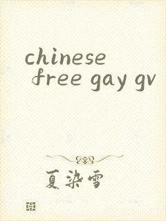 chinese free gay gv