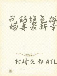 我的绝色总裁未婚妻最新章