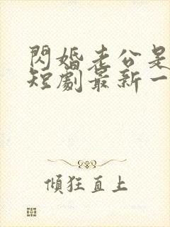 闪婚老公是总裁短剧最新一集