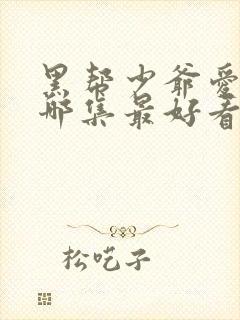 黑帮少爷爱上我哪集最好看封面