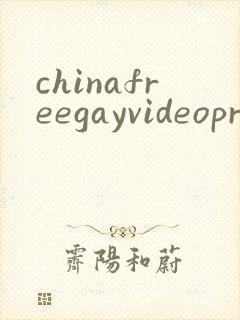 chinafreegayvideopron封面