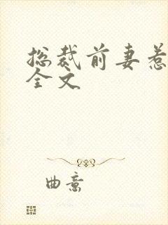 总裁前妻惹人爱全文
