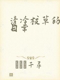 书籍封面